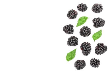 Taze böğürtlen ile izole üzerinde beyaz arka plan kopya alanı metniniz için bırakır. Üstten görünüm. Düz yatıyordu desen.