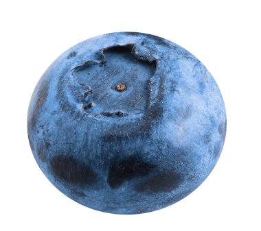 Beyaz arka planda tek taze yaban mersini.