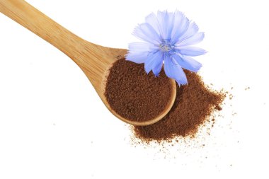 hindiba çiçek ve anlık hindiba tahta kaşık beyaz bir arka plan üzerinde izole içinde toz. Cichorium intybus