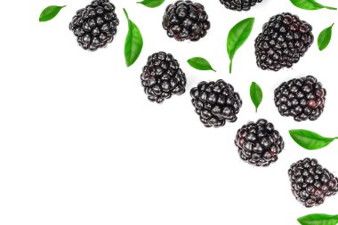 Taze böğürtlen ile izole üzerinde beyaz arka plan kopya alanı metniniz için bırakır. Üstten görünüm. Düz yatıyordu desen