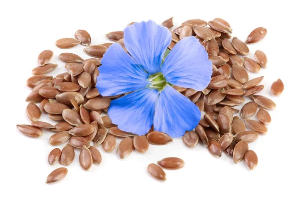 Semillas de lino con flor aislada sobre fondo blanco — Foto de Stock