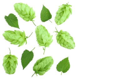 Hop koniler ile izole üzerinde beyaz arka plan kopya alanı metni ile bırakır. Üstten görünüm. Düz yatıyordu desen