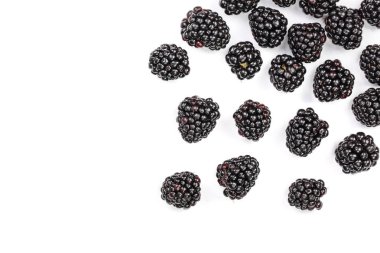 Taze böğürtlen kopya alanı metniniz için beyaz zemin üzerine izole. Üstten görünüm. Düz yatıyordu desen