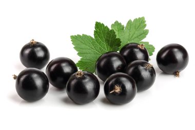 Beyaz zemin üzerinde yaprak izole siyah frenk üzümü