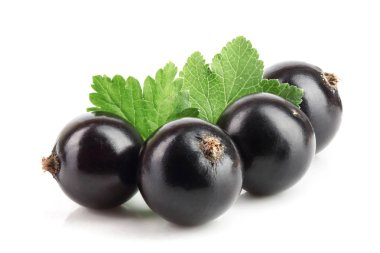 Beyaz zemin üzerinde yaprak izole siyah frenk üzümü