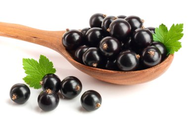 yaprak içinde tahta kaşık beyaz arka plan üzerinde izole siyah frenk üzümü