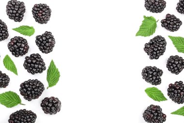 Taze böğürtlen ile izole üzerinde beyaz arka plan kopya alanı metniniz için bırakır. Üstten görünüm. Düz yatıyordu desen