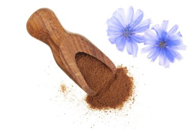 hindiba çiçek ve anlık hindiba beyaz bir arka plan üzerinde izole tahta kaşık toz. Cichorium intybus