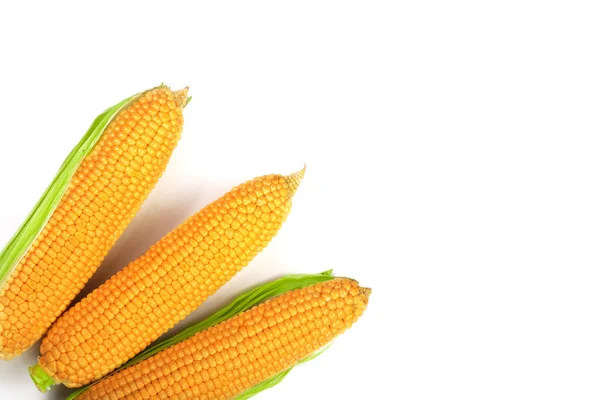 Mazorca de maíz aislada sobre un fondo blanco con espacio de copia para su texto. Vista superior. Conjunto o colección — Foto de Stock