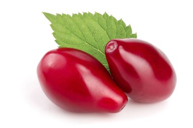 Cornel veya kızılcık yaprak beyaz arka plan üzerinde izole kırmızı meyveler