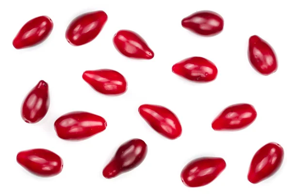 Rote Beeren von Kornelkirsche oder Hartriegel isoliert auf weißem Hintergrund. Ansicht von oben. flache Lage — Stockfoto