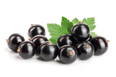 Beyaz zemin üzerinde yaprak izole siyah frenk üzümü