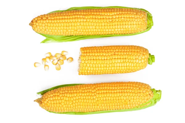 Ухо кукурузы изолированы на белом фоне. Вид сверху. Набор или коллекция — стоковое фото
