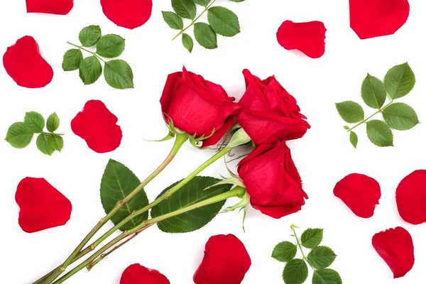 Prachtige rode roos met bladeren en bloemblaadjes geïsoleerd op een witte achtergrond. Bovenaanzicht. Plat lag patroon — Stockfoto