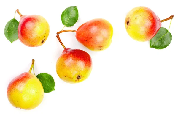 Olgun kırmızı sarı armut meyveleri izole kopya alanı metniniz için beyaz zemin üzerine yaprak. Üstten görünüm. Düz yatıyordu desen — Stok fotoğraf