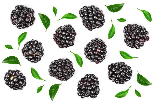 新鲜黑莓, 叶子被白色背景所隔离。顶部视图。平躺模式 — 图库照片
