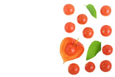 Physalis kopya alanı metniniz için beyaz zemin üzerine izole yaprakları ile. Üstten görünüm. Düz yatıyordu desen
