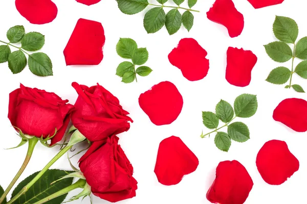 Prachtige rode roos met bladeren en bloemblaadjes geïsoleerd op een witte achtergrond. Bovenaanzicht. Plat lag patroon — Stockfoto