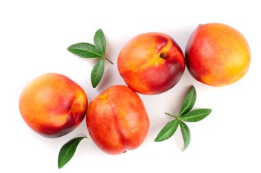 Olgun nektarin ile izole üzerinde beyaz arka plan bırakır. Üstten görünüm. Düz yatıyordu desen