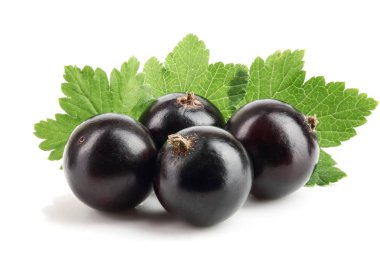 Beyaz zemin üzerinde yaprak izole siyah frenk üzümü