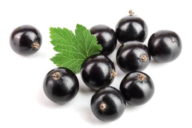 Beyaz zemin üzerinde yaprak izole siyah frenk üzümü