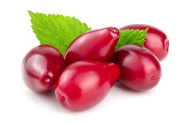 Cornel veya kızılcık yaprak beyaz arka plan üzerinde izole kırmızı meyveler