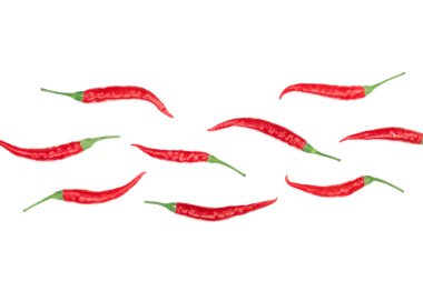 kırmızı sıcak izole kopya alanı metniniz için beyaz zemin üzerine biber. Üstten görünüm. Düz yatıyordu desen