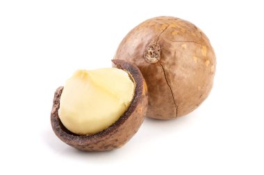 Kabuklu ve kabuksuz Macadamia fındıkları beyaz arka planda izole edilmiş.