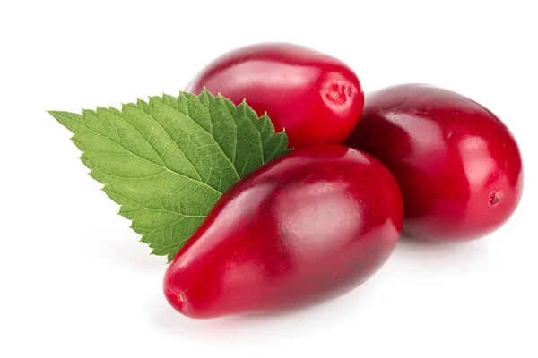 Rote Beeren von Kornelkirsche oder Hartriegel mit Blättern auf weißem Hintergrund — Stockfoto