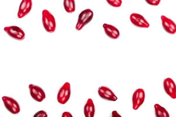 Röda bär av cornel eller hundkäx isolerad på vit bakgrund med kopia utrymme för din text. Ovanifrån. Lekmanna-platt — Stockfoto