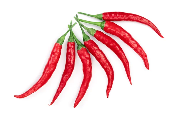 Chiles rojos picantes aislados sobre fondo blanco. Vista superior. Patrón de colocación plana — Foto de Stock