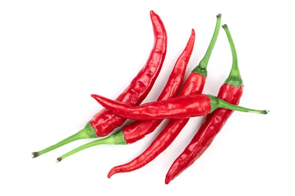 Chiles rojos picantes aislados sobre fondo blanco. Vista superior. Patrón de colocación plana — Foto de Stock