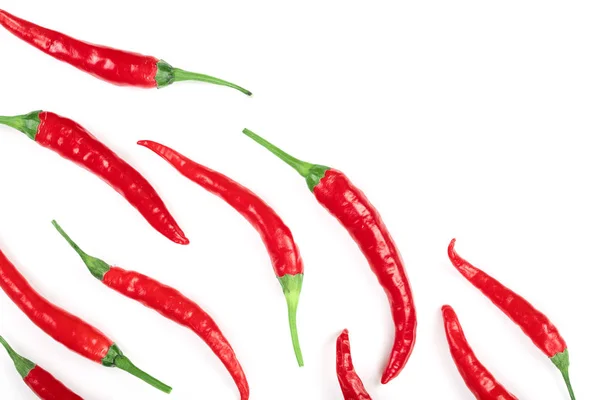 Red hot chili papričky izolovaných na bílém pozadí s kopií prostor pro váš text. Pohled shora. Plochá laických vzor — Stock fotografie