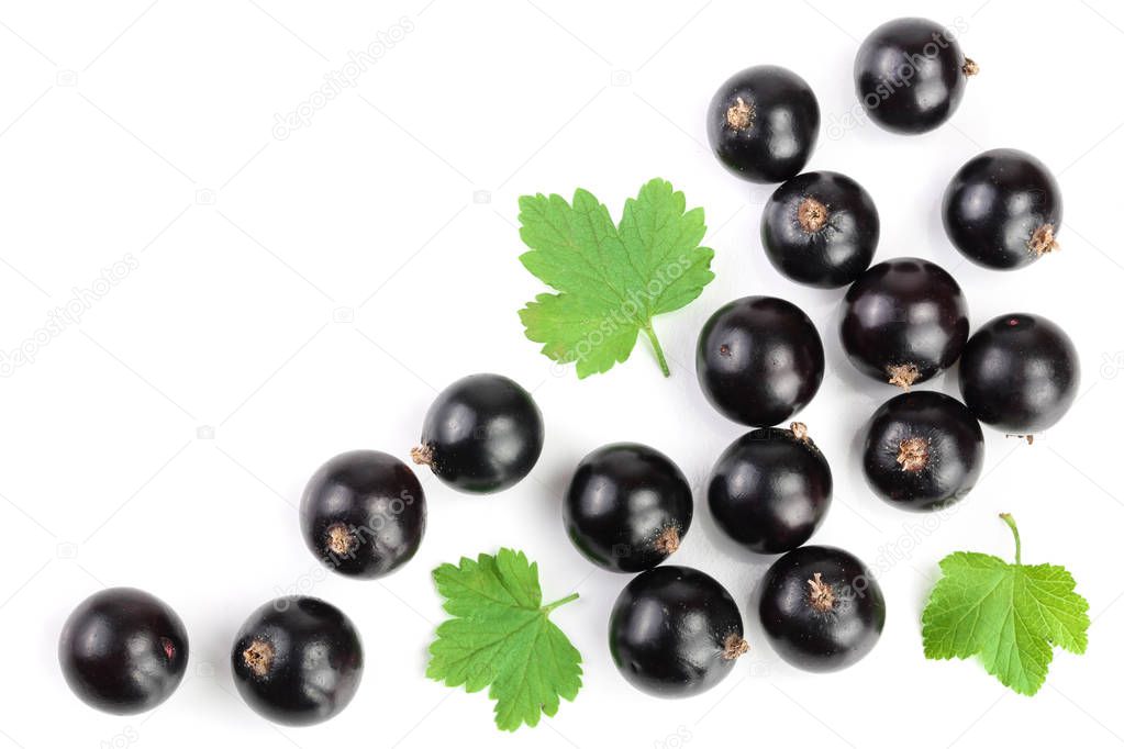 black currant with leaves isolated on white background with copy space for your text. Top view. Flat lay pattern