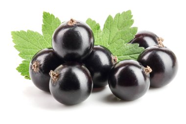 Beyaz zemin üzerinde yaprak izole siyah frenk üzümü