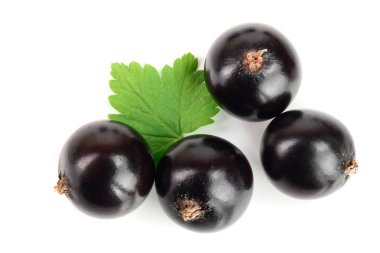 siyah frenk üzümü ile izole üzerinde beyaz arka plan bırakır. Üstten görünüm. Düz yatıyordu desen