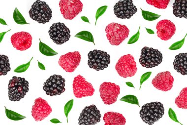 Böğürtlen ve ahududu yaprakları beyaz arka planda. Üst Manzara. Düz uzanma deseni