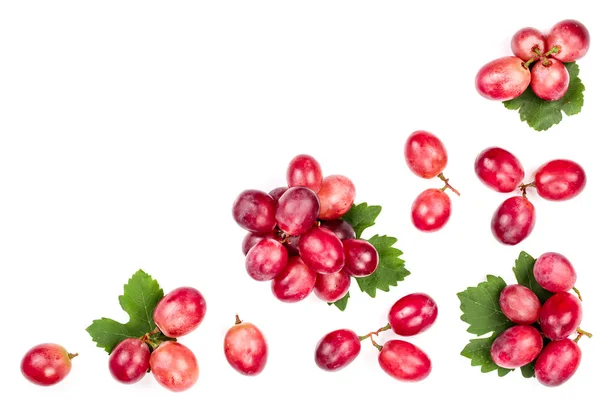 Uvas rosadas aisladas en el fondo blanco con espacio de copia para su texto. Vista superior. Patrón de colocación plana —  Fotos de Stock