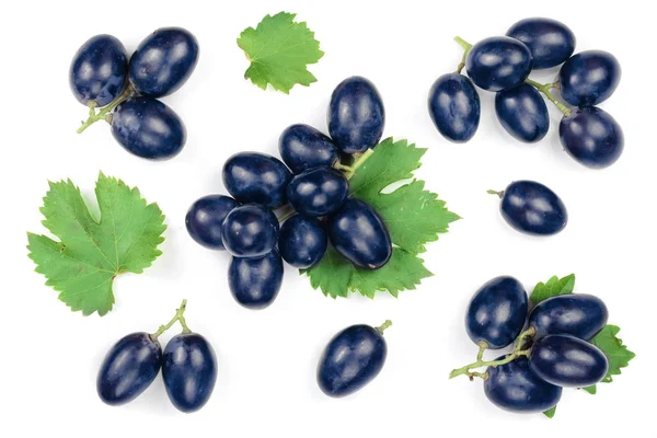 蓝色的葡萄被隔离在白色的背景上。顶部视图。平躺模式 — 图库照片