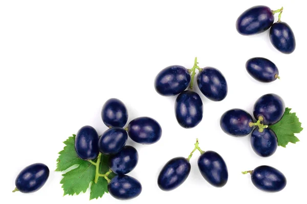 Bue uva wih foglie isolate sullo sfondo bianco con spazio di copia per il testo. Vista dall'alto. Modello di posa piatta — Foto Stock