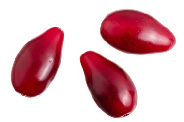 Cornel veya kızılcık beyaz arka plan üzerinde izole kırmızı meyveler. Üstten görünüm. Düz yatıyordu