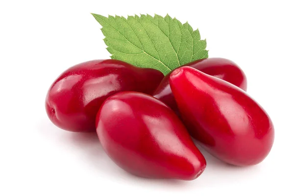 Czerwone jagody cornel lub dereń z liść na białym tle — Zdjęcie stockowe