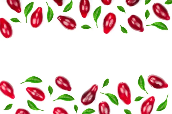 Красные ягоды из кукурузы или собачьей древесины, украшенные зелеными листьями, выделены на белом фоне с копировальным пространством для вашего текста. Вид сверху. Плоский лежал — стоковое фото