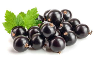 Beyaz zemin üzerinde yaprak izole siyah frenk üzümü