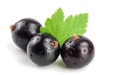 Beyaz zemin üzerinde yaprak izole siyah frenk üzümü