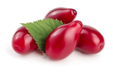 Cornel veya kızılcık yaprak beyaz arka plan üzerinde izole kırmızı meyveler