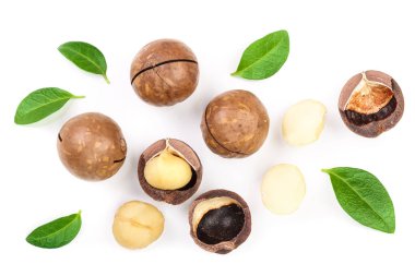 Kabuklu ve unshelled macadamia fıstığı ile izole üzerinde beyaz arka plan bırakır. Üstten görünüm. Düz yatıyordu desen