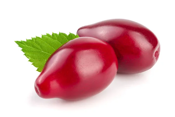 Червоні ягоди карниза або догву з листям ізольовані на білому тлі — стокове фото