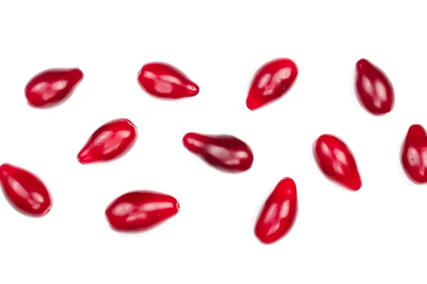Красные ягоды из кукурузы или собачьей древесины выделены на белом фоне с копировальным пространством для текста. Вид сверху. Плоский лежал — стоковое фото
