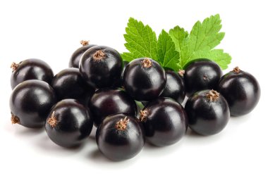 Beyaz zemin üzerinde yaprak izole siyah frenk üzümü